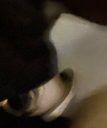 whimsy | ソックス/靴下