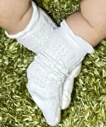 Birthday | ソックス/靴下