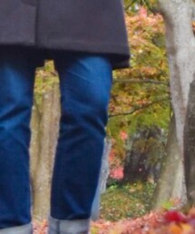 UNIQLO | デニムパンツ