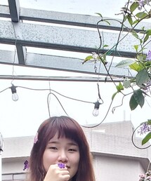 no brand | バレッタ/ヘアクリップ