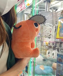 ポチタ | その他
