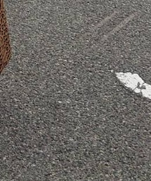 COACH | トートバッグ