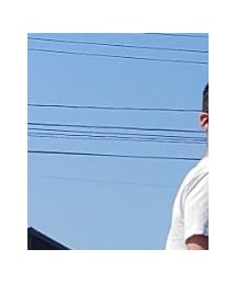 The Flat Head | Tシャツ/カットソー