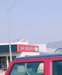 Lewis Leathers | ライダースジャケット