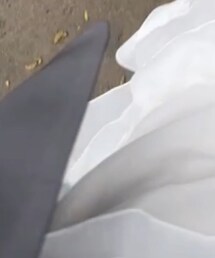 PAGEBOY | ジャケット/アウター