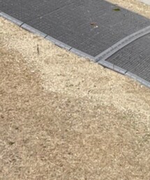 無印良品 | ソックス/靴下