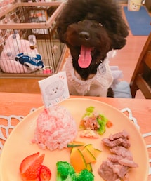 お誕生日プレート❤️ | ペットグッズ