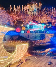 イルミネーション | 音楽/本・雑誌