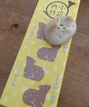甘味バカ一代👊お隣さんからの奈良土産❤️ひよこと博多通りもんの間くらいの黄身あんがうまうまでした🤩の「その他(その他)」