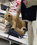 ワンコ🤍の「雑貨/ホビー(おもちゃ)」
