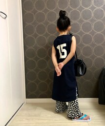 バックショット | その他