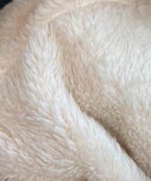 しまむら | トップス