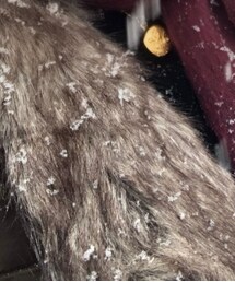 Powder River Outfitters | ベスト