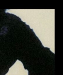 tiny garden | トップス