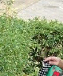 Drifter | バックパック/リュック