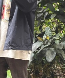 UNIQLO | ジャケット/アウター