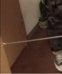 AVIREX | カーゴパンツ