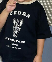 antiqua | トップス