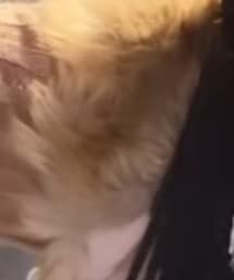 pinnapで買った古着 | ジャケット/アウター