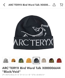 ARC'TERYX | ニットキャップ/ビーニー