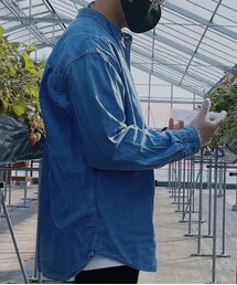 UNIQLO | シャツ/ブラウス