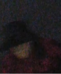 中古 | サンバイザー