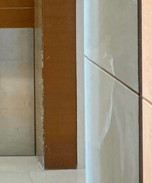 UNIQLO | シャツ/ブラウス