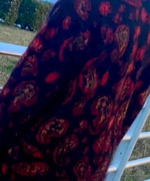 Needles | カーディガン/ボレロ