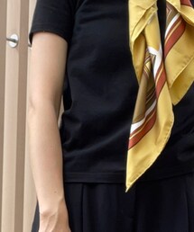 BLENHEIM | Tシャツ/カットソー