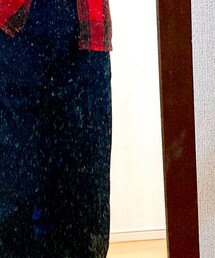 JOURNAL STANDARD | デニムパンツ