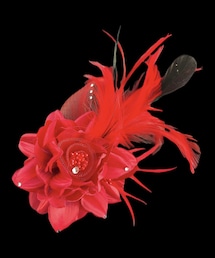 GALAXY | 羽つきコサージュ(ブローチ/コサージュ)