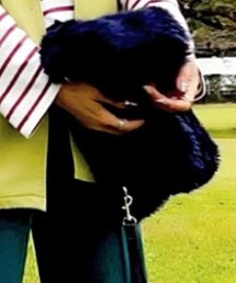 LOWRYS FARM | ファーバッグ LF081582AR(バッグ)