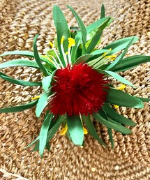 スパリゾートハワイアンズ | ヘアアクセサリー