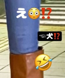 ⚠️閲覧注意🤣 | 何コレ🤣🤣🤣(その他)