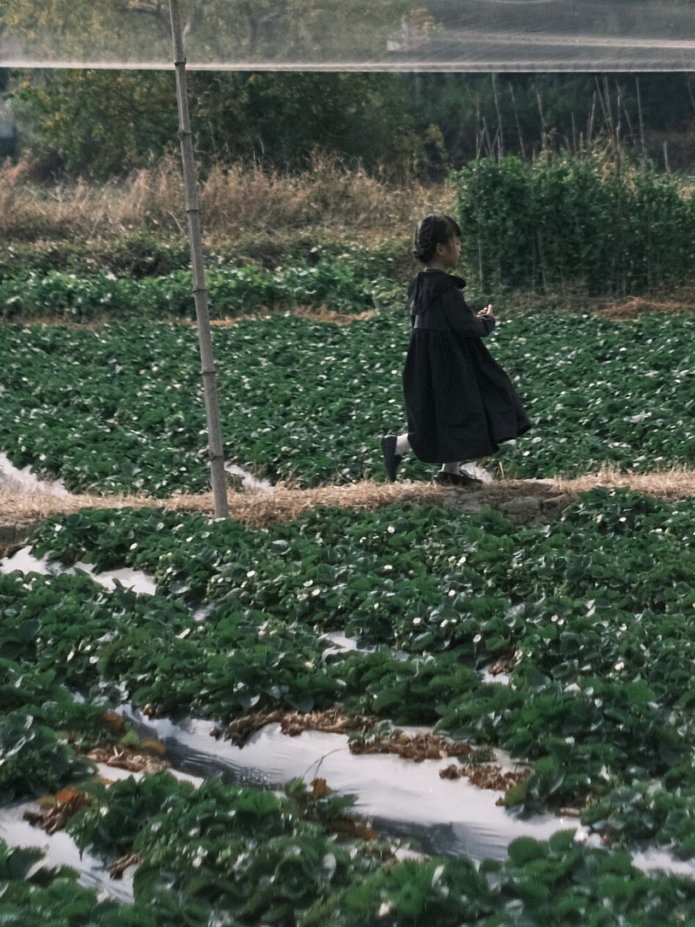 グレー系のワンピース、ブラック系のシューズを着用したキッズの冬コーディネートの2枚目の写真