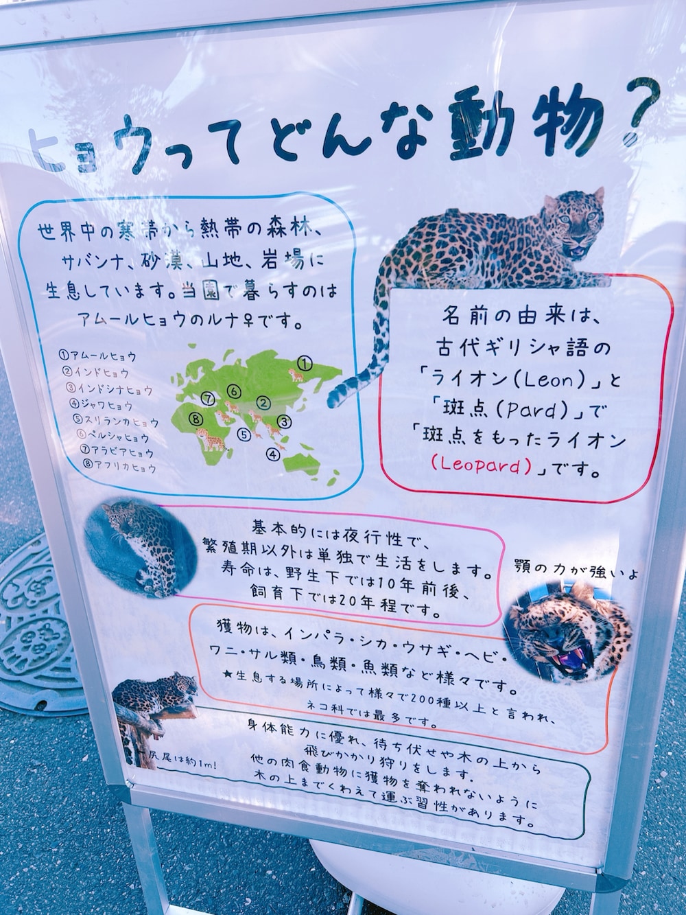 その他のシャツ/ブラウス、ブラック系のスカート、オレンジ系のヘアバンドを着用したレディースの春コーディネートの2枚目の写真