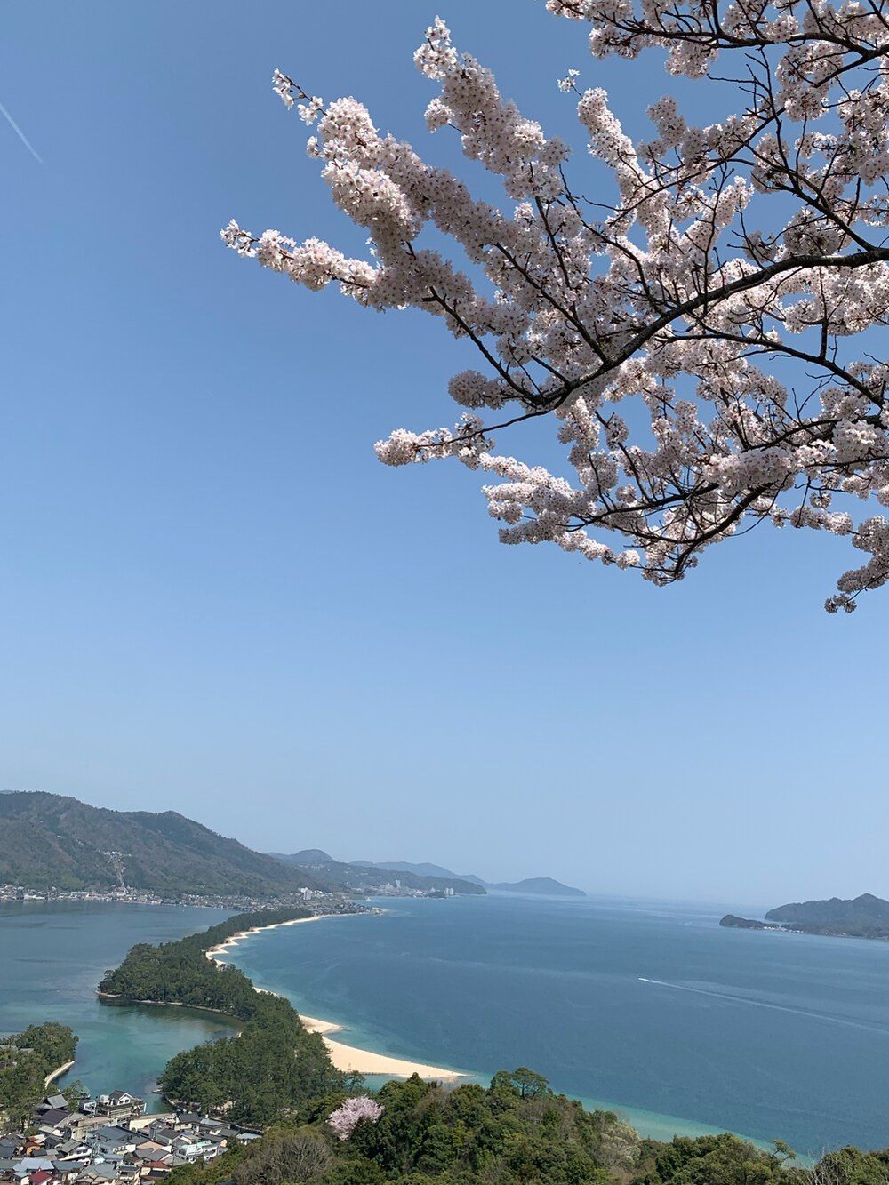 ホワイト系のパンツ、ホワイト系のシャツ/ブラウス、ブラック系のスニーカーを着用したメンズの春コーディネートの2枚目の写真