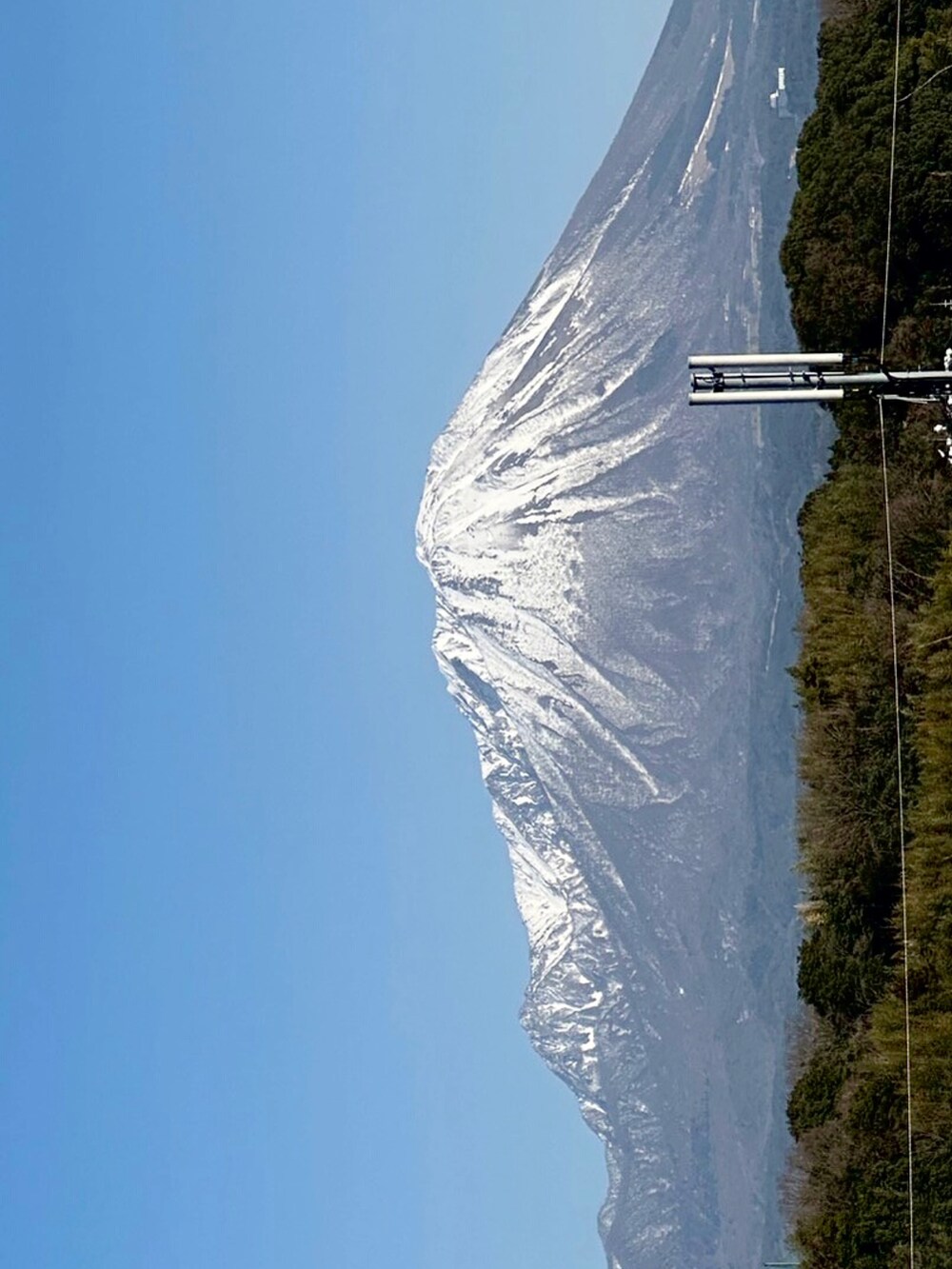 グリーン系のベスト、グリーン系のTシャツ/カットソー、グリーン系のその他パンツを着用したメンズの春コーディネートの2枚目の写真