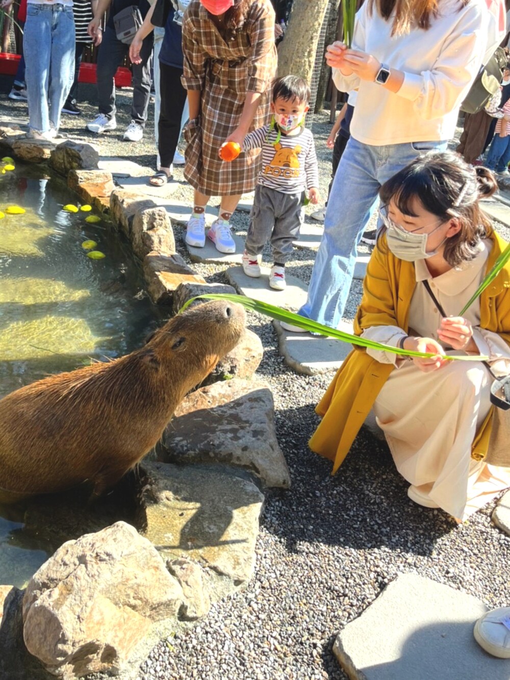ベージュ系のクラッチバッグ、ベージュ系のワンピース、イエロー系のミリタリージャケットを着用したレディースの秋コーディネートの3枚目の写真
