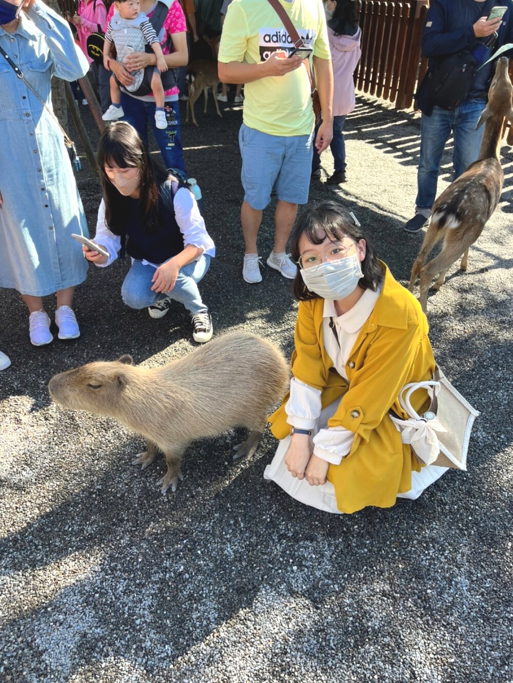 ベージュ系のクラッチバッグ、ベージュ系のワンピース、イエロー系のミリタリージャケットを着用したレディースの秋コーディネートの2枚目の写真