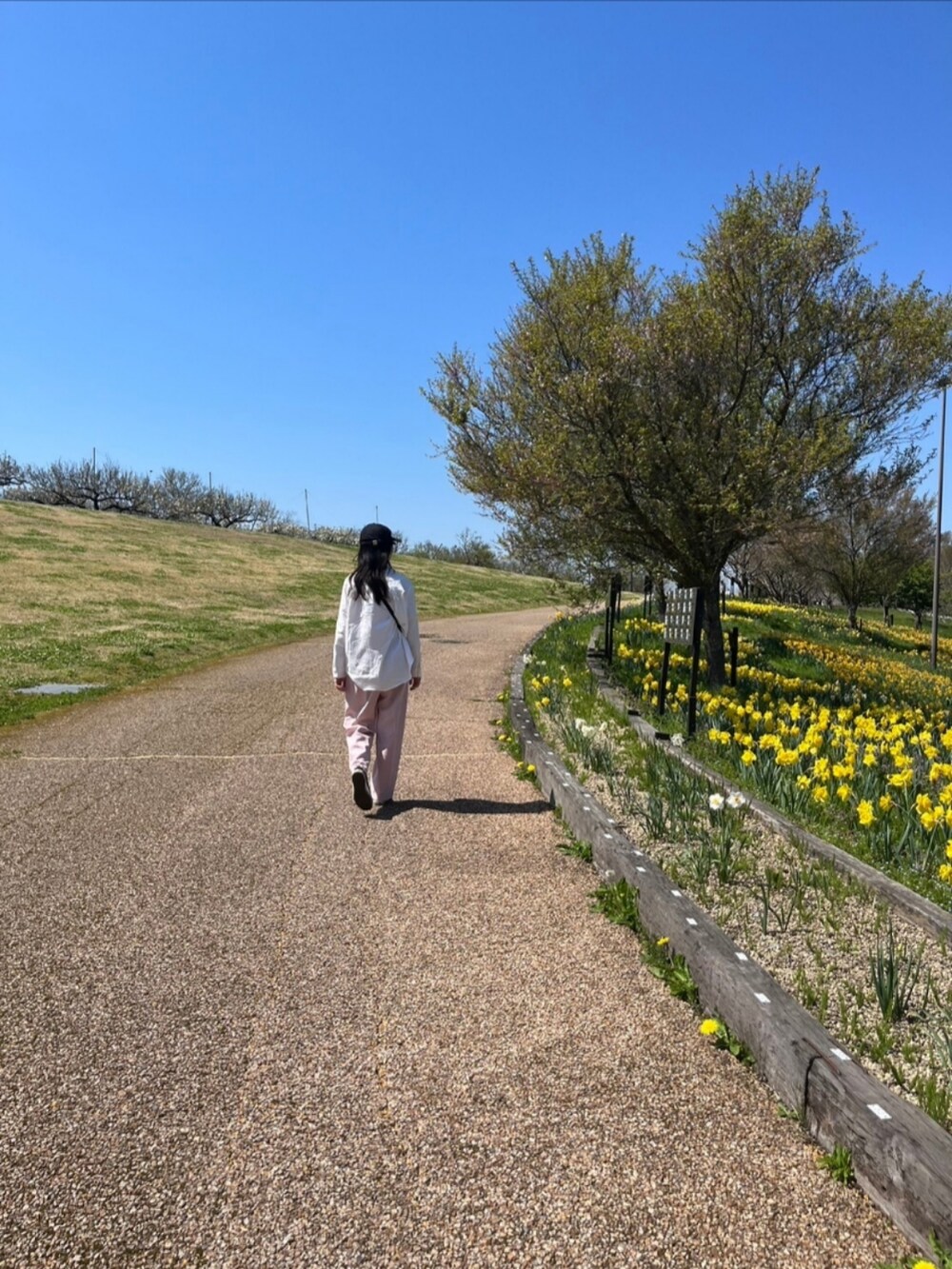 ピンク系のスラックス、ブラック系のスニーカーを着用したレディースの春コーディネートの5枚目の写真