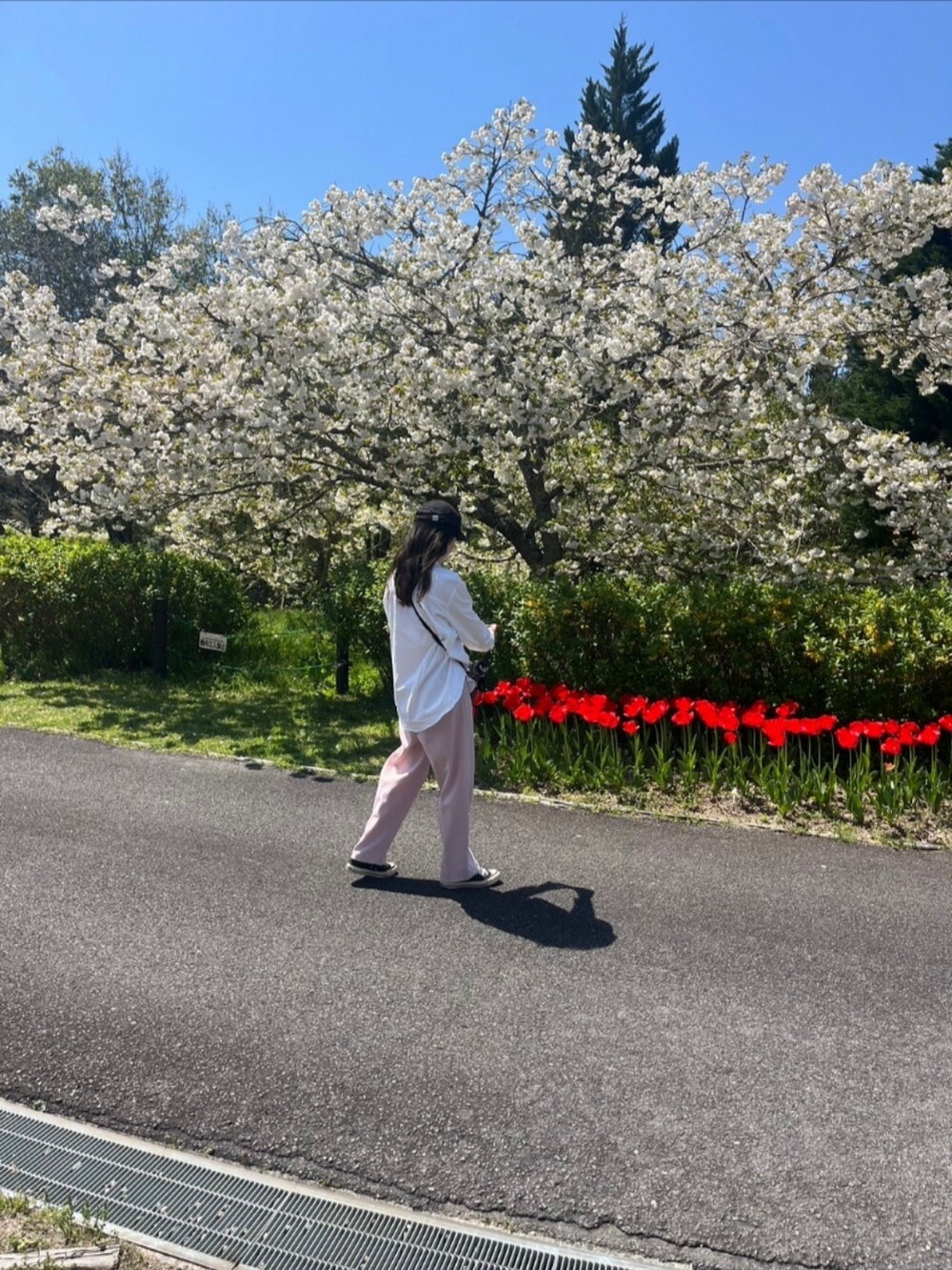 ピンク系のスラックス、ブラック系のスニーカーを着用したレディースの春コーディネートの4枚目の写真