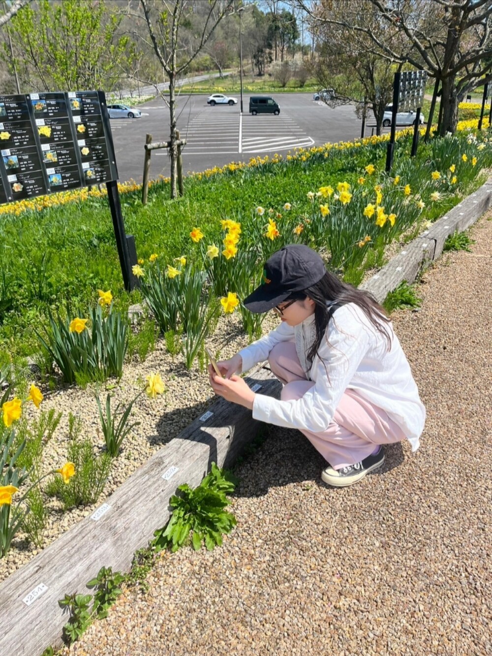 ピンク系のスラックス、ブラック系のスニーカーを着用したレディースの春コーディネートの2枚目の写真