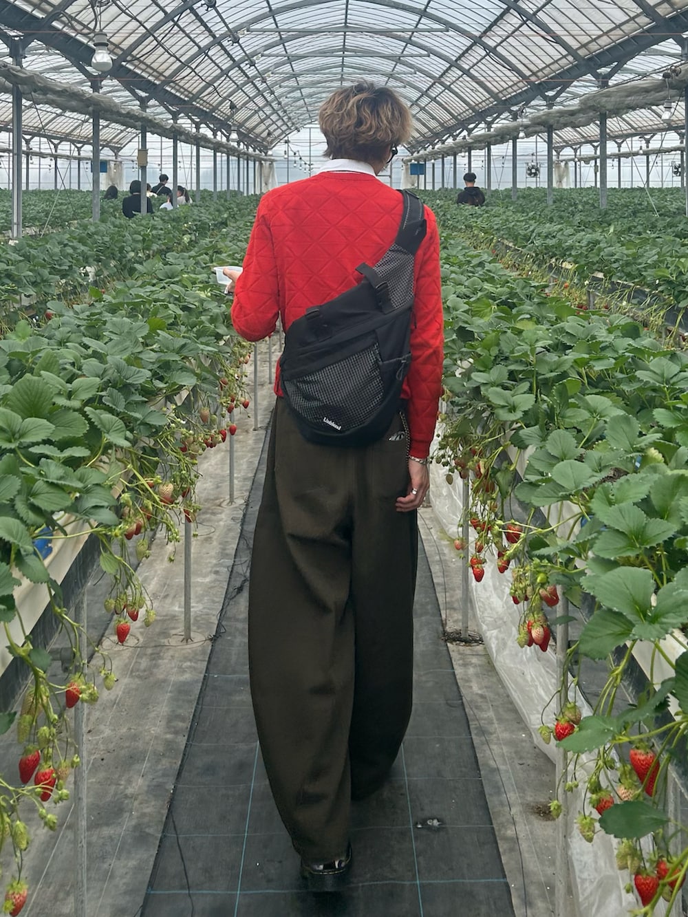 グリーン系のチノパンツ、レッド系のニット/セーター、ブラック系のシューズを着用したメンズの春コーディネートの2枚目の写真