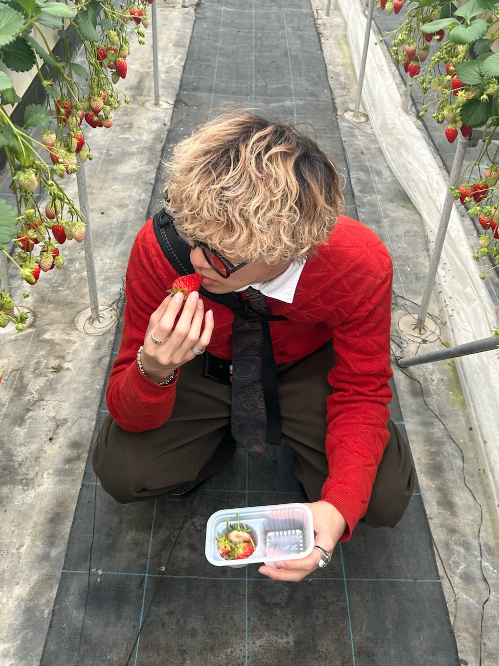 グリーン系のチノパンツ、レッド系のニット/セーター、ブラック系のシューズを着用したメンズの春コーディネートの3枚目の写真