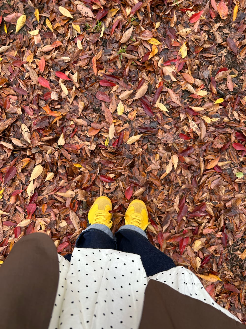 ブラウン系のテーラードジャケット、ホワイト系のワンピース、ブルー系のデニムパンツを着用したレディースの秋コーディネートの2枚目の写真