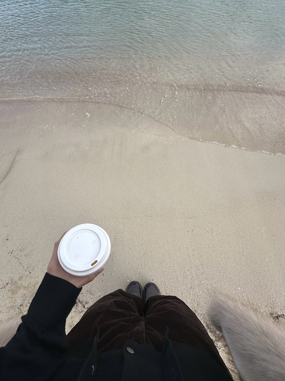 ブラック系のカーディガン/ボレロ、ブラウン系のその他パンツ、ブラック系のハンドバッグを着用したレディースの春コーディネートの5枚目の写真