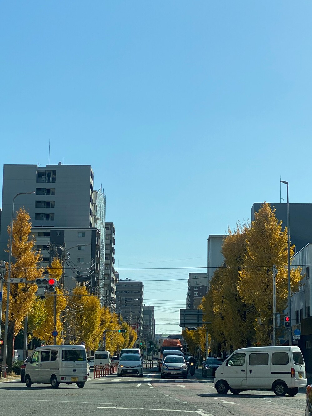 グリーン系のミリタリージャケット、レッド系のスカート、ブラック系のスニーカーを着用したレディースの冬コーディネートの4枚目の写真