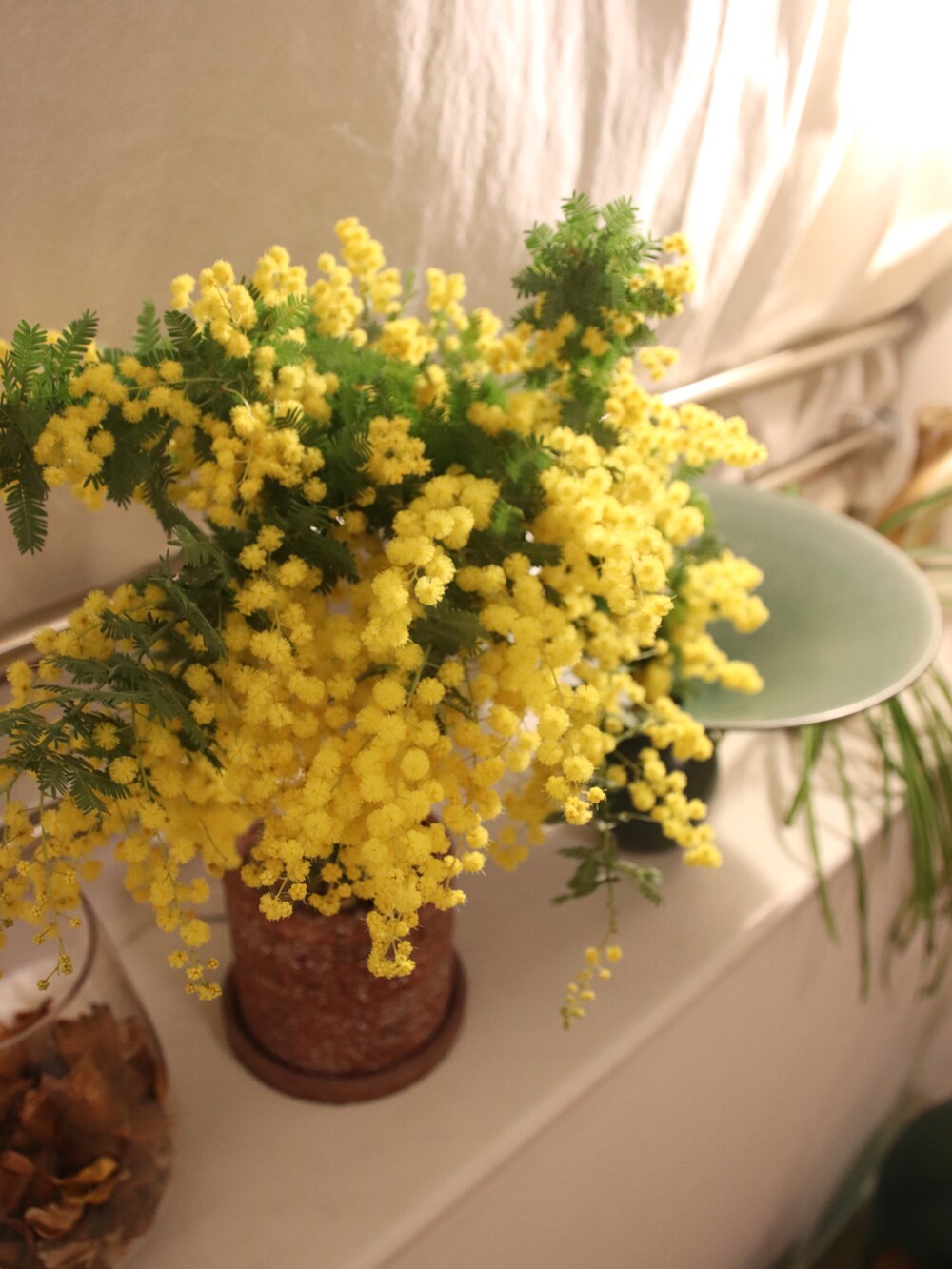 グリーン系のモッズコート、ベージュ系のその他パンツ、ブラウン系のサンダルを着用したレディースの春コーディネートの3枚目の写真