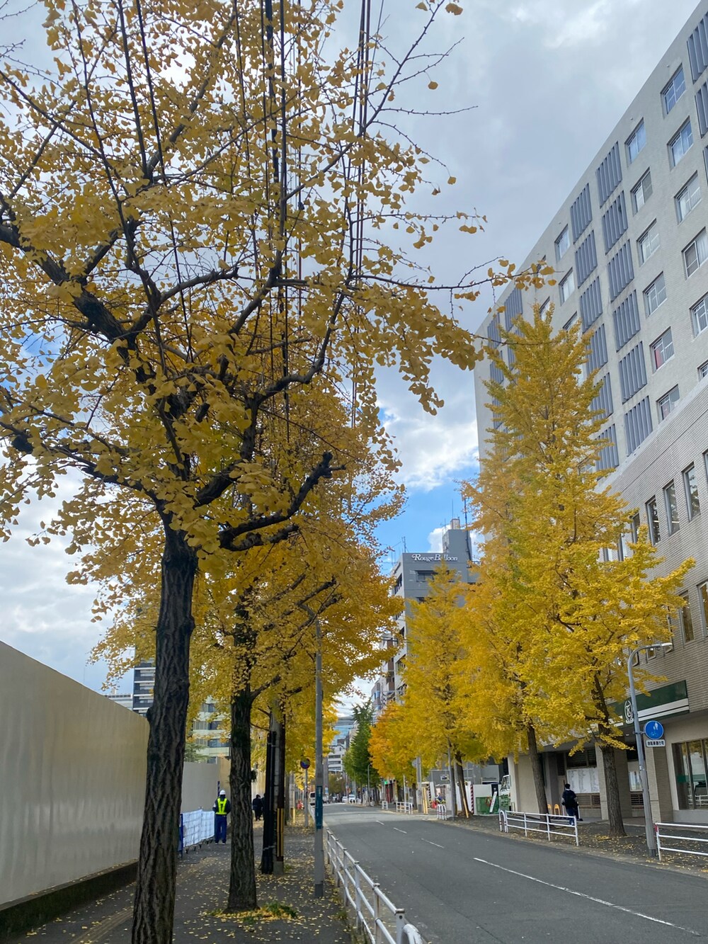 レッド系のトートバッグ、グレー系のスカート、ブルー系のテーラードジャケットを着用したレディースの秋コーディネートの3枚目の写真